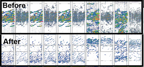 Echogram from before (upper) and after (below) the experiment was conducted. 