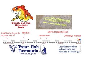 Trout fish Tasmania